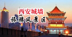 狂肏骚屄的视频中国陕西-西安城墙旅游风景区